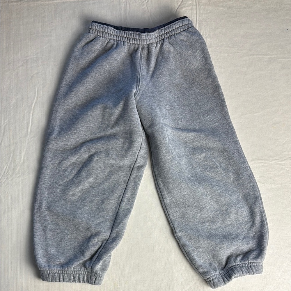 Spotted Frog Boy's Gray Soft Sweatpants Elastic Waist Size 4T